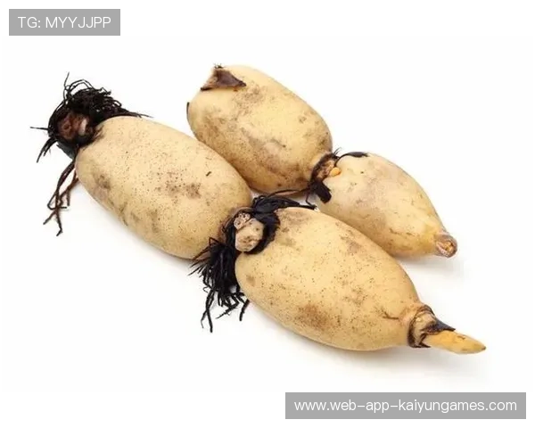 ¦ó+¹ÐÃ+¸-ÀΦ¦¼+Ï+»ú¼¦+ÈÌ+¦+¦ð--§¢Ë¦Ó+-